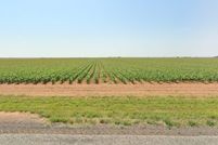 Land for sale in Lubbock County, Texas