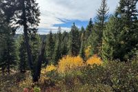 Land for sale in Valley County, Idaho