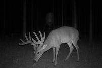 Land for sale in Dougherty County, Georgia