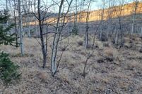 Undeveloped Land for sale in Park County, Colorado