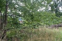 Undeveloped Land for sale in Pocahontas County, West Virginia