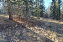 Land for sale in Park County, Colorado