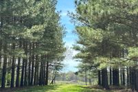 Land for sale in McCurtain County, Oklahoma