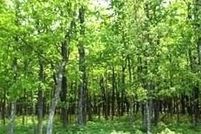 Land for sale in Luzerne County, Pennsylvania