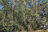 Undeveloped Land for sale in Montgomery County, Texas