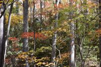 Land for sale in Yancey County, North Carolina