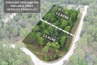 Land for sale in Levy County, Florida