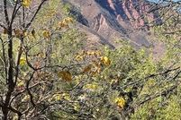 Undeveloped Land for sale in Garfield County, Colorado