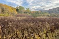 Undeveloped Land for sale in Schoharie County, New York