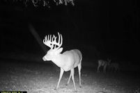 Lakefront Property for sale in Lucas County, Iowa