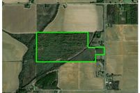 Land for sale in Richland Parish, Louisiana