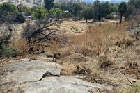 Land for sale in Tulare County, California