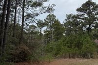 Homesite for sale in Jasper County, Texas