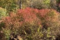 Land for sale in Macon County, North Carolina