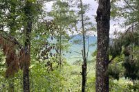 Land for sale in Fannin County, Georgia