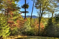 Undeveloped Land for sale in Gilmer County, Georgia