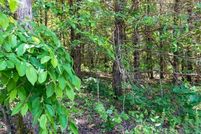 Homesite for sale in Perry County, Arkansas