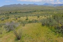 Undeveloped Land for sale in Santa Cruz County, Arizona