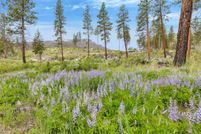 Homesite for sale in Ravalli County, Montana