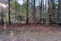 Land for sale in Halifax County, North Carolina