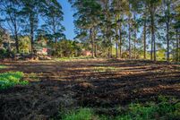 Timberland Property for sale in Hawaii County, Hawaii