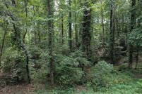 Riverfront Property for sale in Gilmer County, Georgia