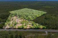 Undeveloped Land for sale in Levy County, Florida