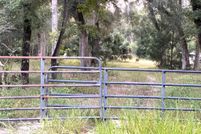 Land for sale in Dixie County, Florida