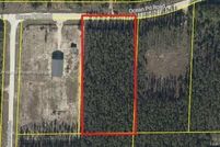 Land for sale in Taylor County, Florida