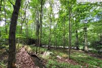 Land for sale in Ashe County, North Carolina