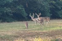 Recreational Property for sale in Marion County, Texas