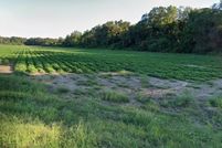 Land for sale in Geneva County, Alabama