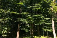 Land for sale in Wayne County, Pennsylvania