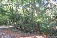 Land for sale in Trigg County, Kentucky