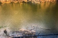 Land for sale in Limestone County, Alabama