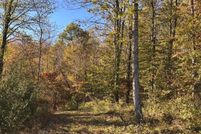 Land for sale in Barbour County, West Virginia