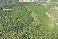 Land for sale in Beauregard Parish, Louisiana