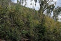 Land for sale in Sevier County, Tennessee