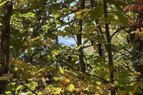 Timberland Property for sale in Sevier County, Tennessee