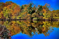 Hunting Property for sale in Dorchester County, Maryland