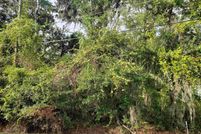 Timberland Property for sale in Leon County, Florida