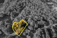 Land for sale in Lauderdale County, Alabama