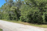 Land for sale in Levy County, Florida