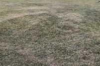 Land for sale in Navarro County, Texas