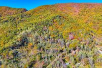 Undeveloped Land for sale in Smyth County, Virginia