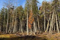 Timberland Property for sale in Washington County, Maine