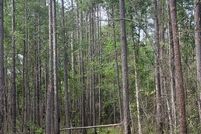 Land for sale in Quitman County, Georgia