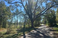 Land for sale in Winston County, Alabama