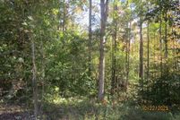 Land for sale in Lunenburg County, Virginia