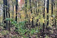 Land for sale in Newaygo County, Michigan